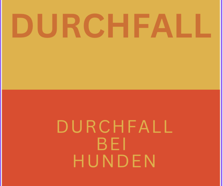 Magazin Durchfall bei Hunden